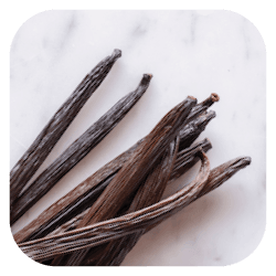 Vanilla Bean